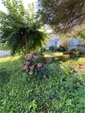 Maison bourgeoise à la vente